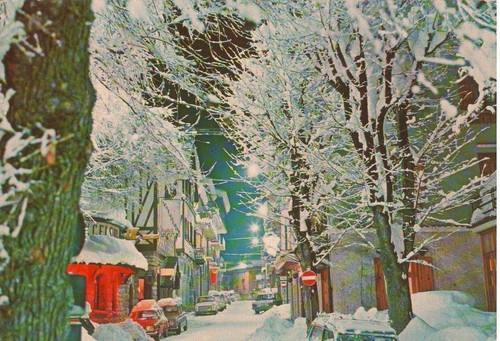 Torino limone piemonte - limone, il