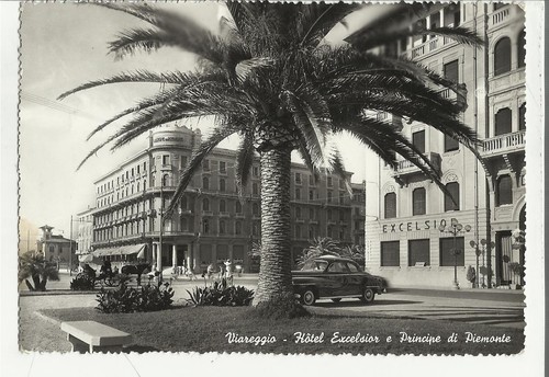 79668 viareggio hotel - 79668,